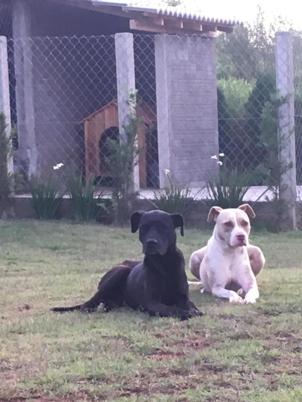 Casa De Campo Com Piscina Jaguariaíva Esterno foto